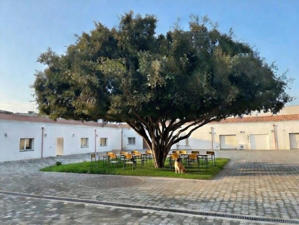 CAMPUS CAMPUS